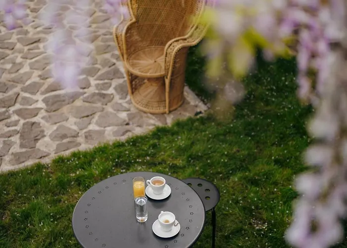 Open Concept Boutique Belgrad